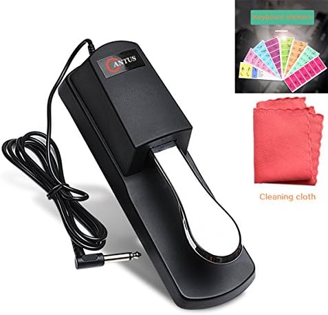 Sustain Pedal with Keyboard Stikers and Cleaning Cloth Universal Footswitch with Polarity Switch for Electronic Piano Keyboards
