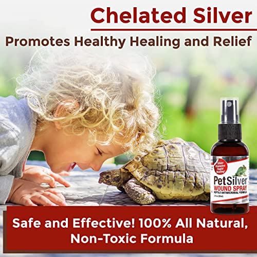 PetSilver Wound Reptile, Snake & Amphibians Formula with Chelated
