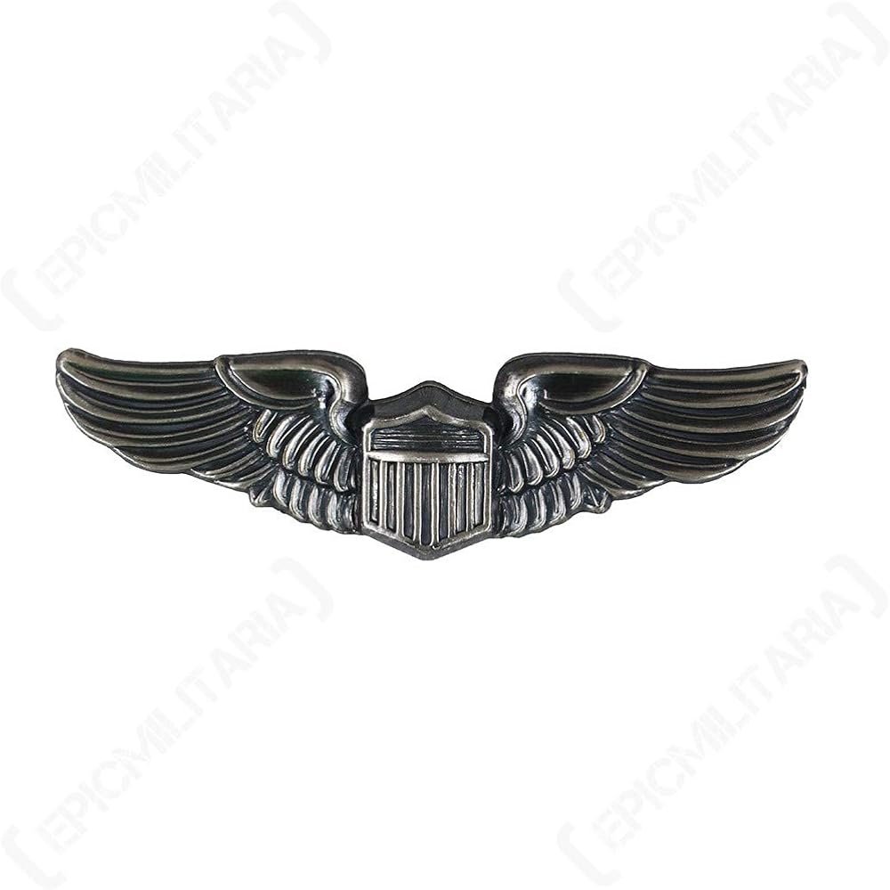 us army air corps wings