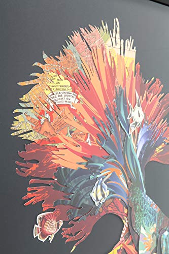 Kare-Design-Bild-Frame-Art-Betta-Fish-Colore-Right-Quadratisches-Bild-mit-Bilderrahmen-in-der-Farbe-Schwarz-Fisch-Motiv-in-bunten-Farben-65x65cm-HBT-65x65x3cm