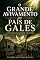 Livro O GRANDE AVIVAMENTO DO PAÍS DE GALES: O FOGO QUE TRANSFORMOU UMA NAÇÃO (Avivamentos que transformam nações Livro 2)