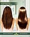 Argan Moroccan Oil Hair Treatment – Intensive Repair for Dry Damaged Hair – Prevents Brittleness – Arganesse is Fitness for Your Hair – Leaves Hair Shiny & Healthy, Not Frizzy & Oily – Sample 3-Pack