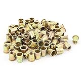 uxcell 100 Pcs Zinc Plated Carbon Steel Rivet Nut Flat Head Insert Nutsert 3/8-16UNC