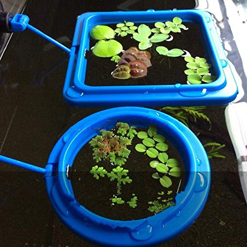 1 FLOURITHING+Pre+Filter+Maintains+Replacement+Times+Feeder