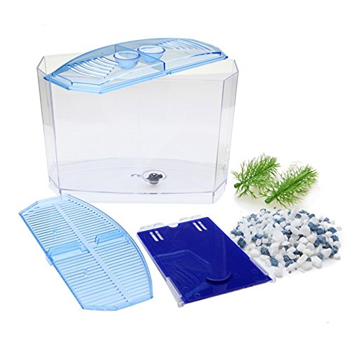 Angelwing Aquatic Aquarium Betta Box Bowl Tank Dividers Twin Front Tank