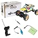 Neeyer RC Car 4WD 1/16 Crawlers Off Road Vehicle Toy Remote Control Car Doodle Color …