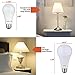 AmeriLuck 3-Way LED Light Bulb A19, Multi Wattage 40-60-100W Equivalent, Low-Medium-High Setting, Omni-Directional, 2 Pack, Natural Daylight 5000K