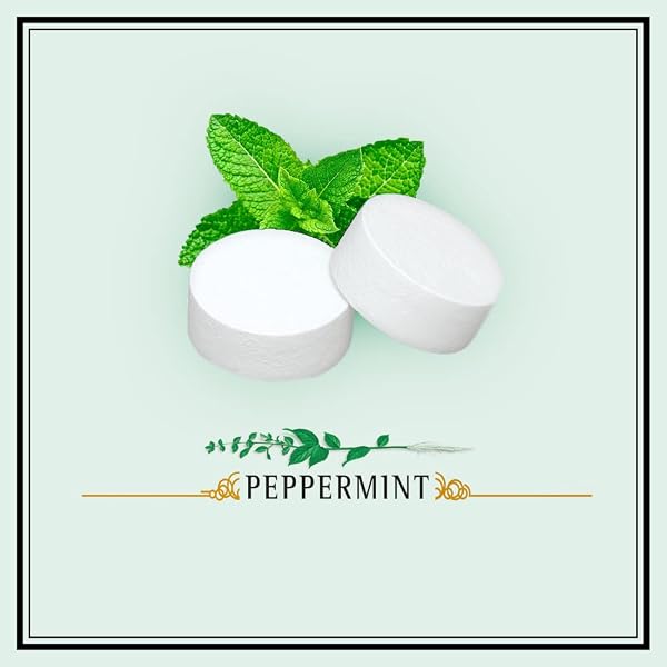 ALTOIDS CLASSIC PEPPERMINT BREATH MINTS, 1.76 OUNCE (PACK OF 12)