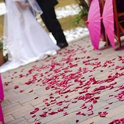 CODE FLORIST 1100 PCS Silk Rose Petals for