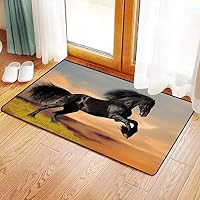 Non-Slip Mat Microfiber Bathroom Rug Shower Mat, Horse Decor,Western Wildlife Theme Friesian Horse Galloping Id, Ultra Soft and Water Absorbent Bath Rug,Machine Wash/Dry 20x 31 inches