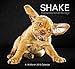 Shake 2015 Calendar