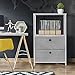 Sorbus Nightstand 2-Drawer Shelf Storage - Bedside Furniture & End Table Chest Dresser with Steel Frame, Wood Top & Easy Pull Fabric Bins for Home, Bedroom, Closets, Bathroom, Office & College Dorm