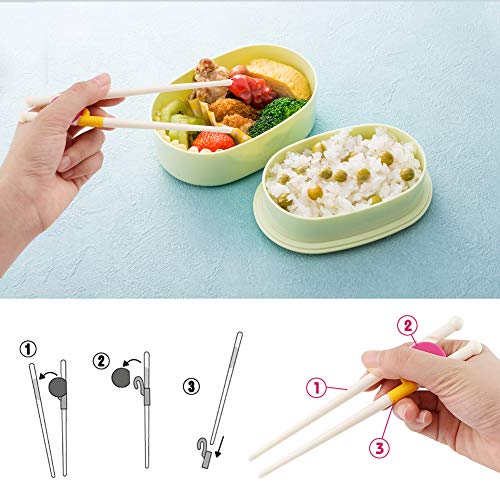 HAKACC Kid Training Chopsticks, 2 Pair Childrens Chopsticks Learning Chopsticks for Kids Children