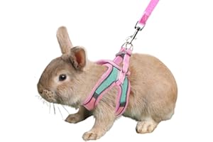 Anelekor Bunny Harness and Leash Set - Reflective Strip Kitten Vest Harness, Escape Proof Rabbit Leash Walking Pet Accessorie