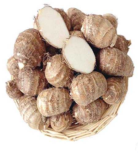 naked-goodness-of-taro-turkish-bears