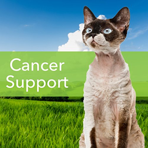 1 Pet+Wellbeing+Life+Gold+Cats