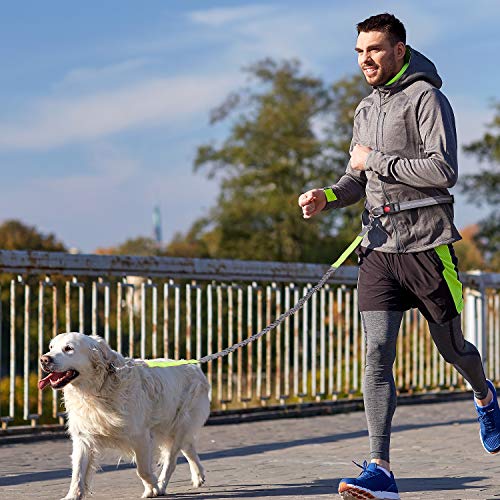 YIHATA Hand Free Hands Dog Leash 6FT Bungee Running Leashes for Dogs Reflective Backpacking Waist Belt Adjustable Biking Rugged Woaat Collar Halti Muzzle Night, Ideal for Small, Medium, Large Dogs - Thumbnail 5