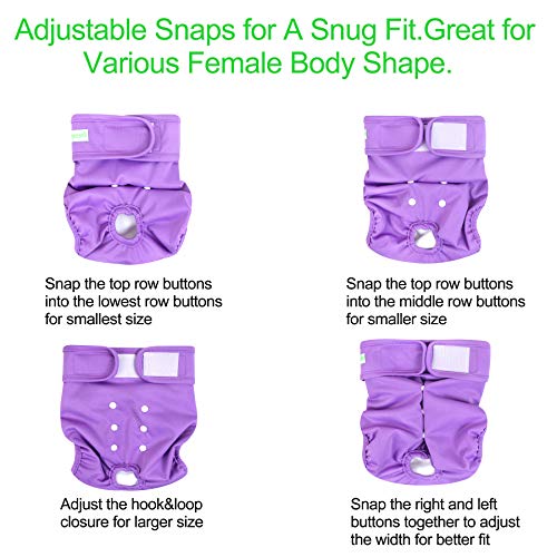 Wegreeco company Clearance