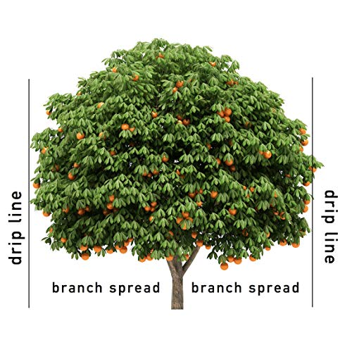Jobe's Fruit & Citrus Fertilizer Spikes, 5 Spikes