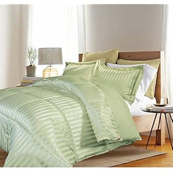 Amazon.com: 3 Piece Full Queen Sage Green Damask Stripe