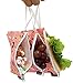 QOGiR Reusable Sandwich & Snack Bags with Handle (Set of 3): Lead-free,BPA-free,PVC-free,FDA PASSED(Red Fish)
