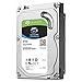 Seagate SkyHawk 4TB Surveillance Internal Hard Drive HDD – 3.5 Inch SATA 6Gb/s 64MB Cache for DVR NVR Security Camera System with Drive Health Management (ST2000XV008)