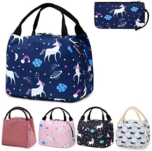 Insulated Lunch Bag Lunch Boxes for Adult,Women,Men- Reusable Lunch Tote Bag Lunch Organizer Lunch Holder for Work,Picnic,Boating,Beach,Fishing (Blue)