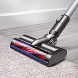 Dyson V6