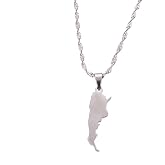 Stainless Steel Silver Color Argentina Map Pendant Necklace Fashion Argentine Map Jewelry