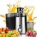 Juicer Juice Extractor High Speed for Fruit and Vegetables Dual Speed Setting Centrifugal Fruit Machine Powerful 350 Watt with Juice Jug, Premium Food Grade Stainless Steel