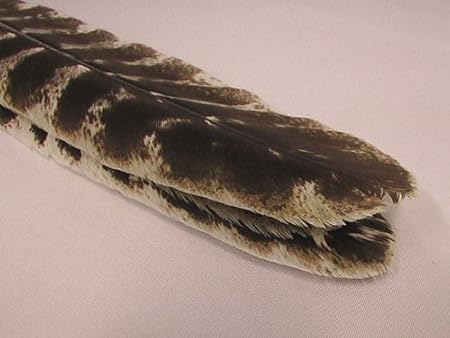 Amazon Co Jp 茶道具 羽箒 はぼうき 炉用 唐国鳥 ホーム キッチン