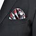 Shlax&Wing Checked Gray Grey Silver Red Crimson Handkerchief Mens Ties