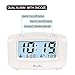 DreamSky Dual Alarm Clock with Smart Adjustable Nightlight, Snooze, Large LCD Display, Portable Battery Operated, Ascending Alarms Sound, Simple Operate Clocks for Bedroom and Kids