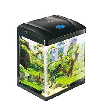 Pettix Black Fish Tank 8 8 Litre Nano Amazon In Pet Supplies