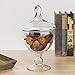 CYS EXCEL Glass Apothecary Candy Buffet Jar (H:9.5