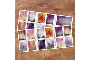 UNITED STATES POSTAL SERVICE Tulip Blossoms Forever Postage Stamps Book of 20 Self-Stick Stamp for USPS First Class Envelopes (20 Stamps)