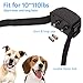 PetAZ Dog Training Collar,Electric Dog Shock Collars with Remote, Rechargeable and Rainproof Beep/Vibration/Shock for Small,Medium,Large Dogs,for 2 Dogs(10-120lbs) (for 2 Dogs)