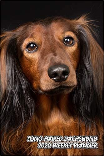 Long Haired Dachshund 2020 Weekly Planner Doxie Wiener Dog 12