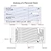 Value Price Green Marble Top Tear Personal Checks (1 Box of Singles, Qty. 125)