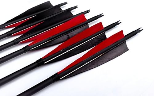 Albertu 31''Carbon Arrows Targeting Archery 5'' True Peltate Shape Feather Carbon Archery with Replaceable Field Point (12 arrows)