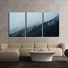 3 Piece Canvas Wall Art - Pine Forest Among The Fog - Modern Home Art Stretched and Framed Ready to Hang - 16"x24"x3 Panels
