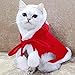 ANIAC Pet Christmas Costume Poncho Cape with Hat Santa Claus Cloak for Cats and Small Dogs Red Christmas Dog Costume Holiday Cat Outfit (Small)…