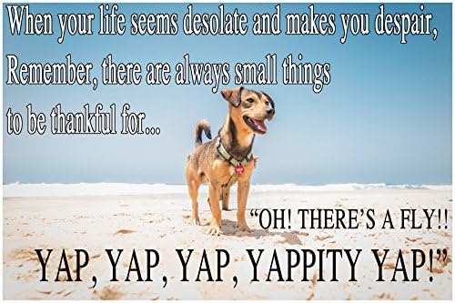 BEACH YAPPER— 1 small, funny fridge magnet, 2x3 inches (5.08 x 7.62 cm), meme, decorative magnetic sign plaque, BEACH YAPPER, BEING THANKFUL FOR SMALL THINGS, Jack Russell Terrier pet dog,
