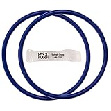 Pool Ruler R172009 Chlorine Resistant VITON O-Ring 2 Pack + Lubricant for Pentair Rainbow Chlorinator 300 & 320 Lid