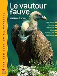 Le  vautour fauve