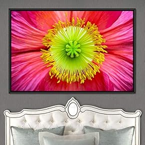 signwin Framed Canvas Wall Art Blooming Closeup Botanical...