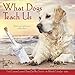 What Dogs Teach Us 2020 Mini Wall Calendar by 