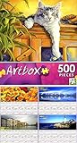 Observation Post by Lucie Bilodeau - Art Box - 500