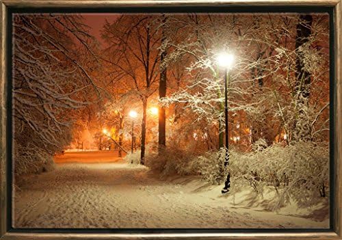 Startonight Luxury Framed Art Bronze Winter in Park Dual View Surprise 19.69 Inch By 27.56 Inch Trees Collection Wall Art