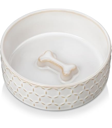 amazon cat water fountain stainless steel NPET 50oz Stainless Steel Cat Water Fountain